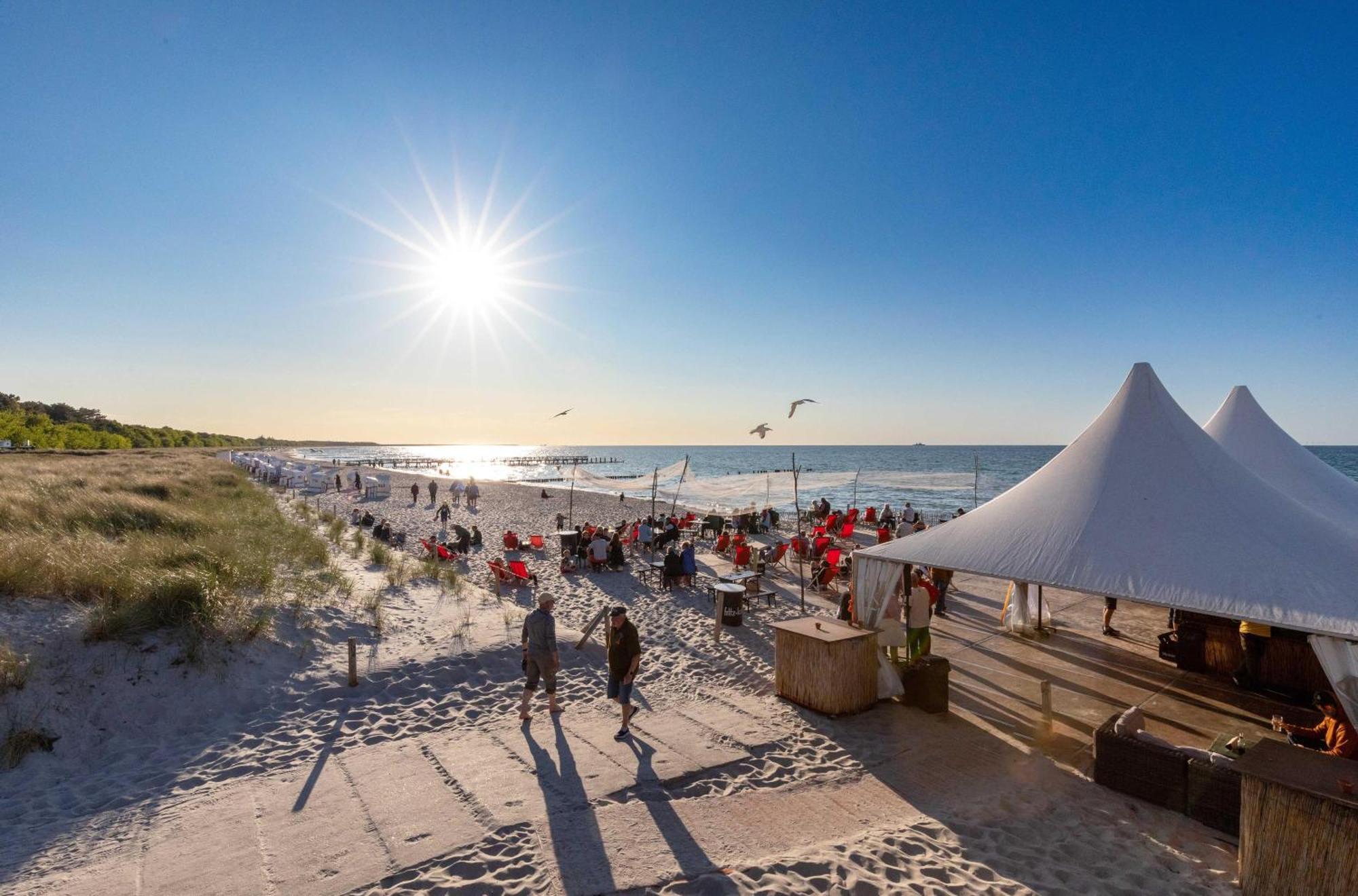 Strandhafer an der Seebrücke Zingst Exterior foto