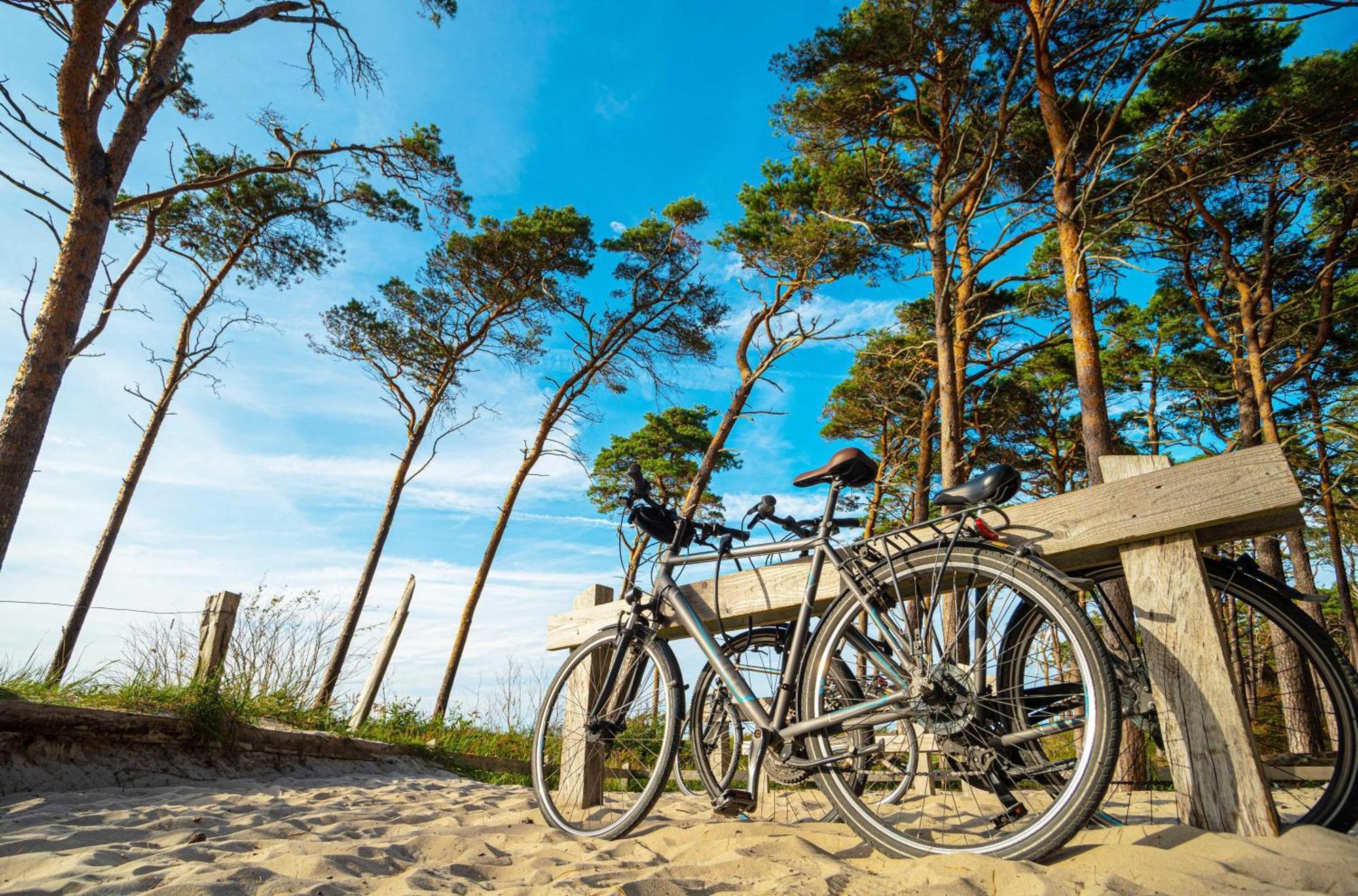 Strandhafer an der Seebrücke Zingst Exterior foto